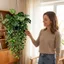 Cây treo Ivy nhân tạo JUNYUE88US, Bộ lá Mandala Mandala Monstera thực tế, Chống tia cực tím Chống phai màu Giỏ treo cây nho giả chống thấm nước Trang trí nội thất