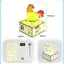 DIY Rooster Khoa Học Thí Nghiệm Bộ Điều Khiển Ánh Sáng Mạch Đồ Chơi Giáo Dục 1 Bộ Cho Trẻ Em Homeschool Vật Lý Thực Hành