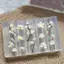 Khuôn Làm Móng Hoa Mộc Lan 3D DIY Dụng Cụ Làm Móng Tay Cánh Hoa Thiết Kế Móng Tay Khuôn Móng Tay Nghệ Thuật Khắc Mẫu Thiết Kế Làm Móng Tay VN