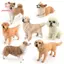 PWSEND Các bức tượng nhỏ thú cưng thực tế, giống như thật Chó bông Shiba Inu Corgi Đồ trang trí chó, Mô phỏng PVC tinh tế Trang trí máy tính để bàn cho thú cưng