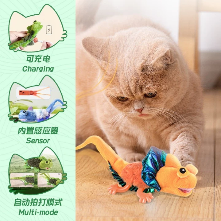 Smart Automatic Toy