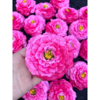10 bông trà highlight size 8cm - hoa vải