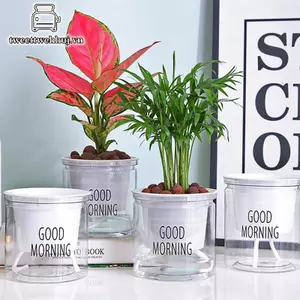 Tweehuj Mini Tự Tưới Hoa Nồi Cá Nhựa Trong Suốt Chậu Cây Tự Tưới Cây Chậu Bình Để Trang Trí Nhà Cửa VN