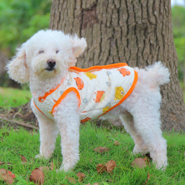 Thú Cưng Thú Cưng Teddy Corgi Quần Áo Chó Thu Đông Áo Ấm Chăn Thú Cưng Loungewear Một Mảnh Lô Hàng