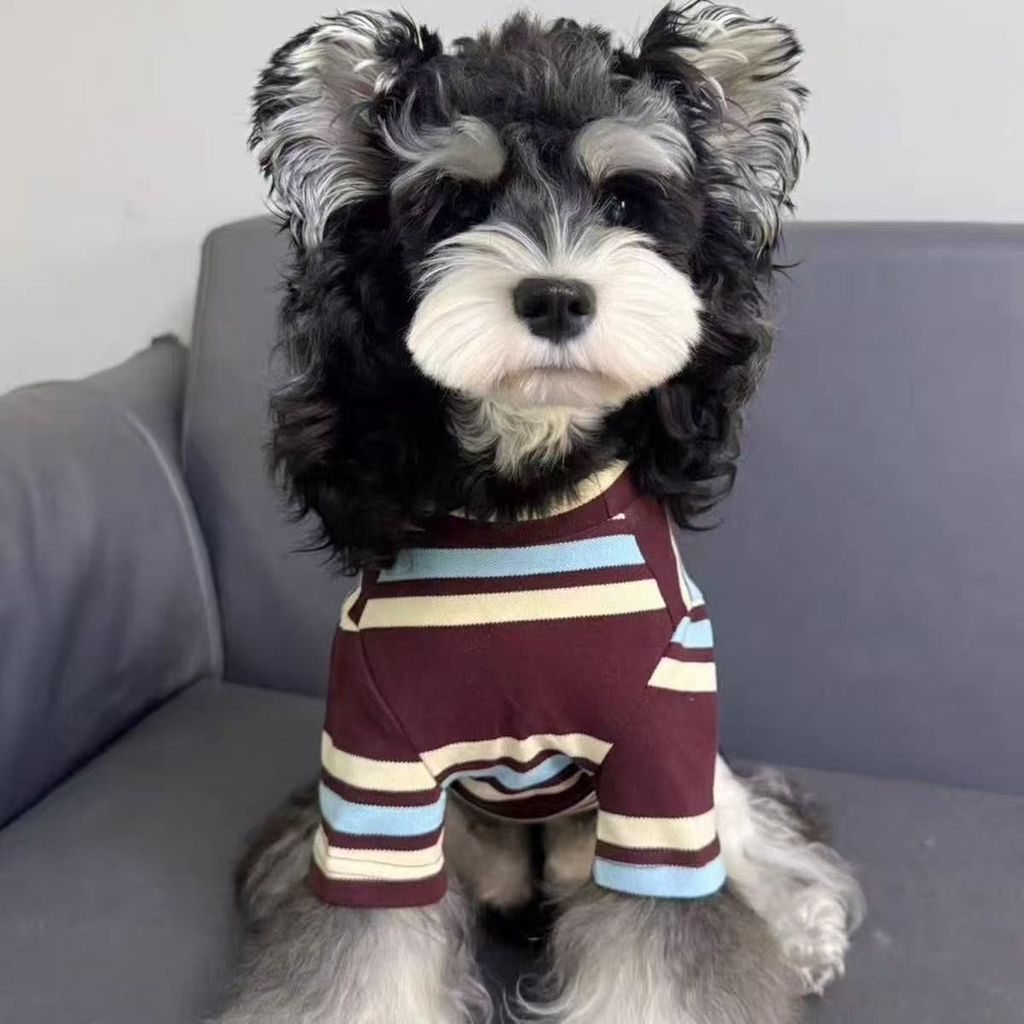 Teddy Schnauzer Pomeranian Pet Áo thun chó nhỏ Quần áo mèo mùa thu đông sọc tay ngắn