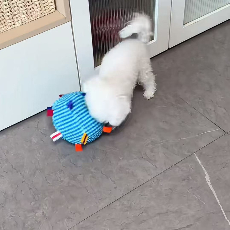 Tích hợp bóng chuông trêu chọc đồ chơi cho chó Đồ chơi chó giảm bớt sự nhàm chán Đồ chơi bóng làm sạch răng hàm Đồ chơi cho chó tiêu thụ sức mạnh thể chất Không tháo rời Nhà phổ biến cho chó nhỏ lớn Xiaohongshu