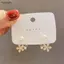 Bigapple Hàn Quốc Ánh Sáng Sang Trọng Ngọc Trai Hoa Pha Lê Bông Tai Dành Cho Nữ Trang Sức Thanh Lịch Quà Tặng RDG