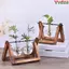 VVDZA Bình Thủy Tinh Trang Trí Terrarium Để Bàn Chậu Hoa
