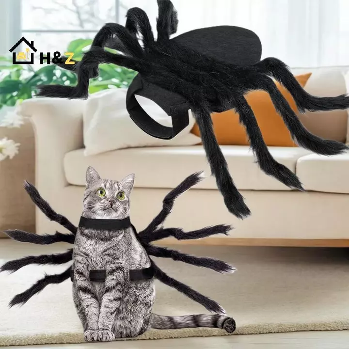 Trang phục hóa trang thú cưng chó mèo Halloween nhện biến hình, đồ cosplay hài hước cho chó mèo