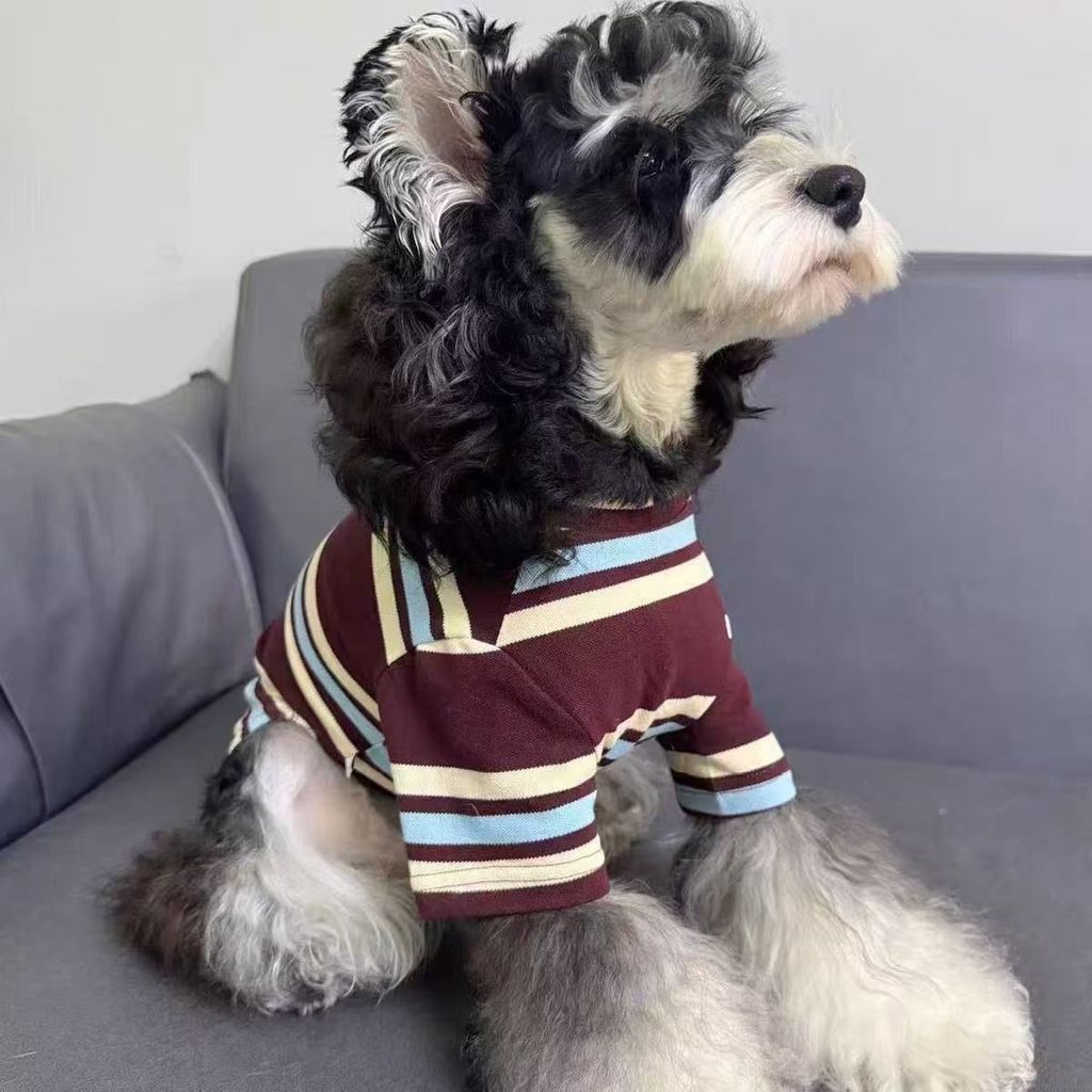 Teddy Schnauzer Pomeranian Pet Áo thun chó nhỏ Quần áo mèo mùa thu đông sọc tay ngắn