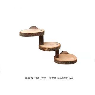 Đồ Chơi Hamster Nhu Cầu Hàng Ngày Gấu Vàng Trang Trí Cảnh Quan Toàn Bộ Khung Leo Xoay Vỏ Dừa Treo Võng.20251027