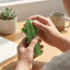 Móc khóa xương rồng QEARY, Đồ chơi Fidget thiết kế kết cấu kích thước nhỏ gọn, Đồ chơi giải nén Bề mặt giả mạo Quy trình in 3D Cấu trúc chắc chắn Sử dụng bàn văn phòng mới lạ