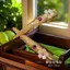 Cổ Đeo Móng Tay Nữ Hoàng Hoàng Hậu Tòa Bọc Móng Tay Khiêu Vũ Phong Cách Trung Hoa Tinh Tế Thời Trang Móng Tay Giáp Bao 2026-7-2