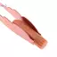 Chất tẩy rửa tai cho bé Tai mềm Pis LED Flash Light Ear Wax Curette Pier Dụng cụ làm sạch tai có kính lúp Loại bỏ sáp tai