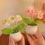 Móc Hoa Hướng Dương Nhân Tạo Chậu Cây Dệt Tay Quà Cưới Cho Khách Trang Trí Hoa Hướng Dương Trang Trí Phòng