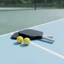 2 Miếng Pickleball Mái Chèo Bộ Bóng Dài Pickleball Mái Chèo Bộ Vợt Chống Trơn Trượt Thiết Bị Thể Thao