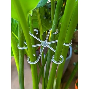 4 Kẹp hỗ trợ thực vật Dây buộc hỗ trợ thực vật Kẹp thân chắc chắn cho cây leo - Chất liệu nhựa hoặc cây leo trong nhà Hỗ trợ cây trồng