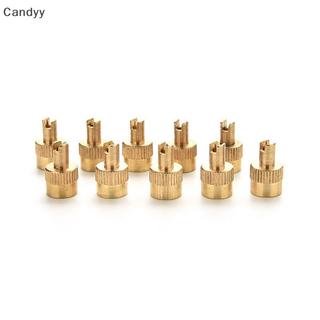 NDY 10 Chiếc Xe Chrome Kim Loại Có Rãnh Nắp Thân Van Có Dụng Cụ Tẩy N