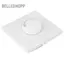Belleshopp Akozon Bảng Công Tắc Điều Khiển Tốc Độ Cho Quạt Trần AC250V 100W 86X86Mm Thích Hợp Quạt Điện & Đèn