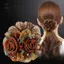 Dây buộc tóc hoa Dây cao su nữ thanh lịch Phụ kiện tóc Scrunchies lớn đơn giản dành cho nữ [Mina]