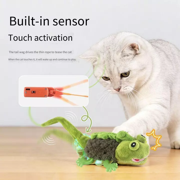 Smart Automatic Toy