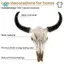 Nhựa Longhorn Bò Đầu Lâu Đầu Treo Tường Trang Trí 3D Động Vật Hoang Dã Điêu Khắc Các Bức Tượng Thủ Công Sừng Cho Gia Đình Trang Trí Halloween