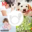 Tóc Trắng Tắm Nước Đầu Ống Phòng Tắm Dầu Gội Tắm Vòi Trộn Tập
