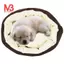 Giỏ Giỏ Giỏ Có Thể Tháo Rời Đệm Nhà Giường Cho Chó Mèo Thú Cưng Size S 46x42x15cm COFFE