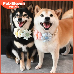Kẹo Macaron / Thú Cưng Chó Mèo Corgi Teddy Shiba Inu Nơ Cầu Vồng Cổ Hoa Yếm Trang Sức