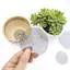 XUAN 50 Chiếc Nồi Lỗ Lưới Miếng Lót Lưới Tròn Thoát Nước Lỗ Màn Hình Cho Đáy Nồi Ngăn Ngừa Mất Đất Cây Cảnh Hoa Dụng Cụ Làm Vườn VN