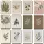 Vintage Fern Botanical Branch Olive Wildflower Poster Không Khung Tranh Canvas Cho Phòng Khách Trang Trí Nhà