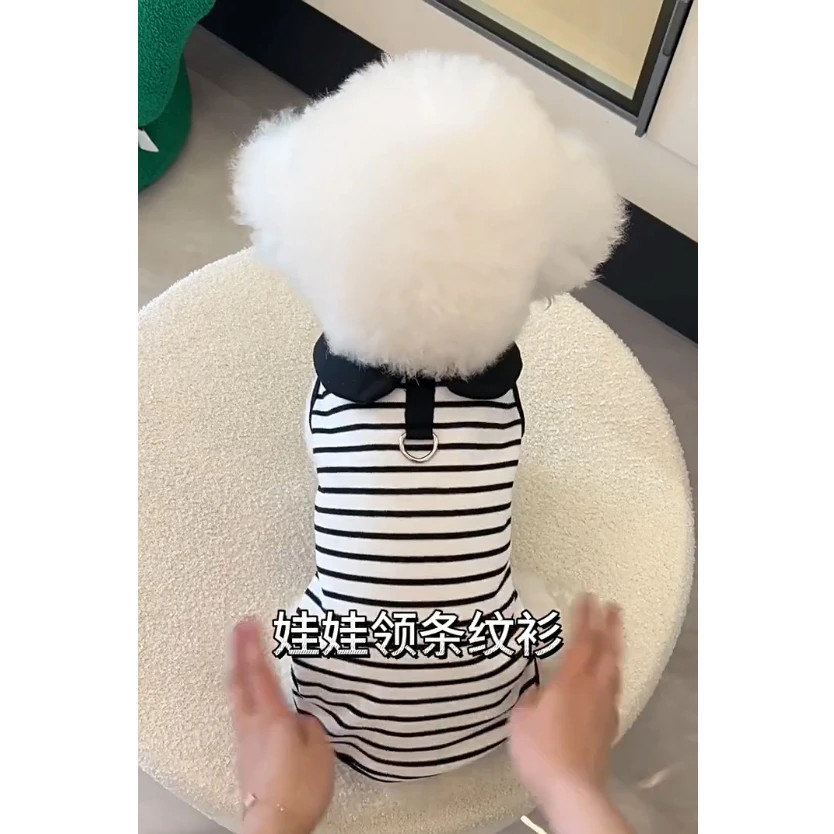 Mùa Xuân Mùa Hè Thú Cưng Áo polo Quần Áo Chó Nhỏ Thời Trang Ve Áo Phong Cách Teddy Bichon Pomeranian Quần Áo Chó