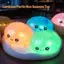 Hấp Bun Squishy Fidget Đồ Chơi 4 Chiếc Nhiều Màu Sắc Mềm Mại Tăng Chậm Đồ Chơi Giảm Căng Thẳng Cho Trẻ Em Người Lớn Thư Giãn Hàng Ngày