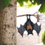 QEARY Bát Tấm Trang Trí, Sắt Phong Cách Gothic Trang Trí Bát Halloween, Chủ Đề Halloween 2D Mô Phỏng Phẳng Động Vật Treo Đồ Trang Trí Trang Trí Sân Vườn Trang Trí Sân