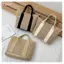 HFSHY Kết Hợp Túi Xách Dệt Thân Thiện Với Môi Trường Mùa Hè Thời Trang Thường Ngày Rơm Blend Tote Cho Bé Gái Ngoài Trời Ngày Lễ Du Lịch VN
