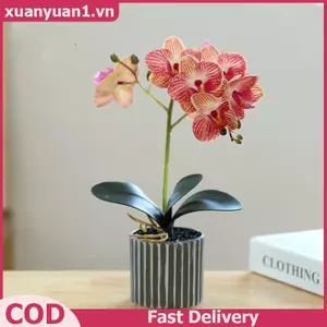 XUAN Lụa Bướm Phong Lan Hoa Nhân Tạo Cây Cảnh Phong Lan Phalaenopsis Chậu Hoa Nhà Trang Trí Đám Cưới Sắp Xếp Cây Giả VN
