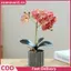 XUAN Lụa Bướm Phong Lan Hoa Nhân Tạo Cây Cảnh Phong Lan Phalaenopsis Chậu Hoa Nhà Trang Trí Đám Cưới Sắp Xếp Cây Giả VN
