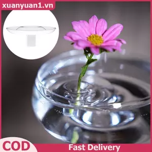 XUAN Thủy Canh Nổi Hoa Giá Đỡ Nổi Hoa Thân Giá Đỡ Trong Suốt Thân Màn Hình Sắp Xếp Dụng Cụ Tổ Chức VN