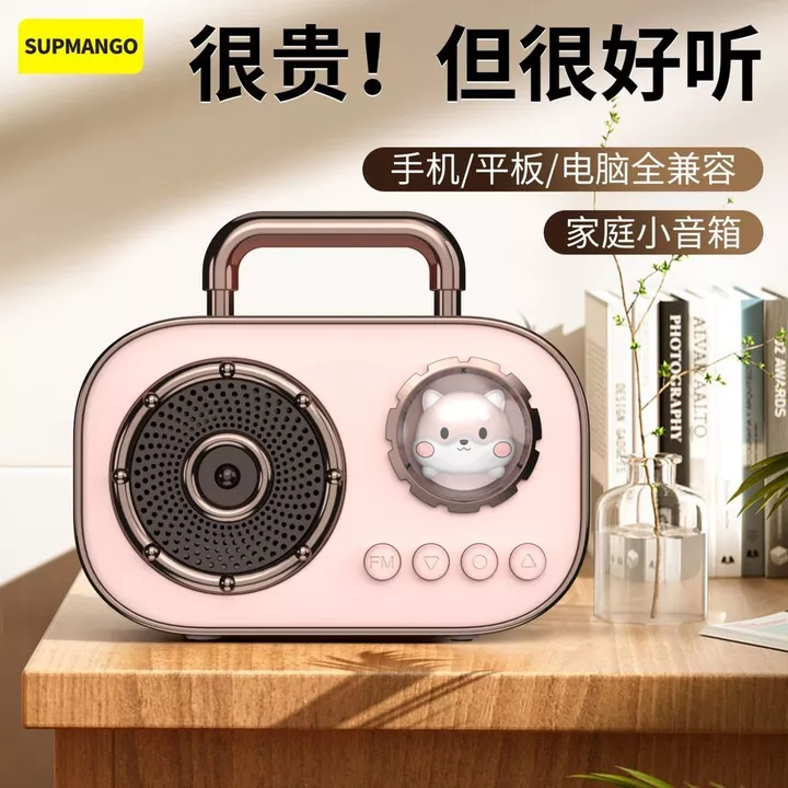 Computer Speakers – Wireless – 6