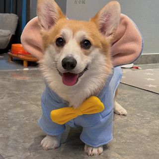 Corgi Quần Áo Thu Đông Dày Ấm Áp Vừa Chó Nhỏ Bichon Schnauzer Vest Shiba Inu Chó Mùa Đông Quần Áo WGPI