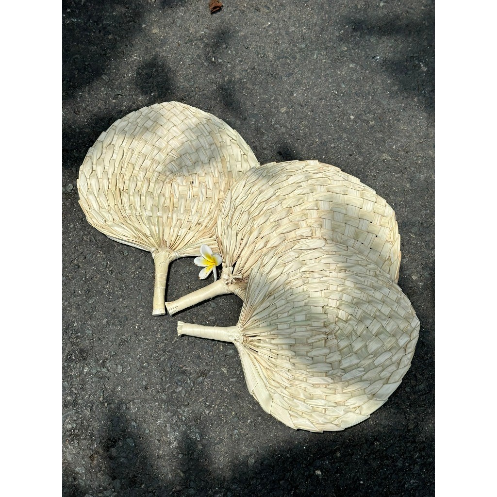 Quạt nan cầm tay, quạt lá hàng tự nhiên, đan tay, đồ trang trí decor chụp ảnh, quạt máy nhẹ mát,quạt cho bé, mây, cói