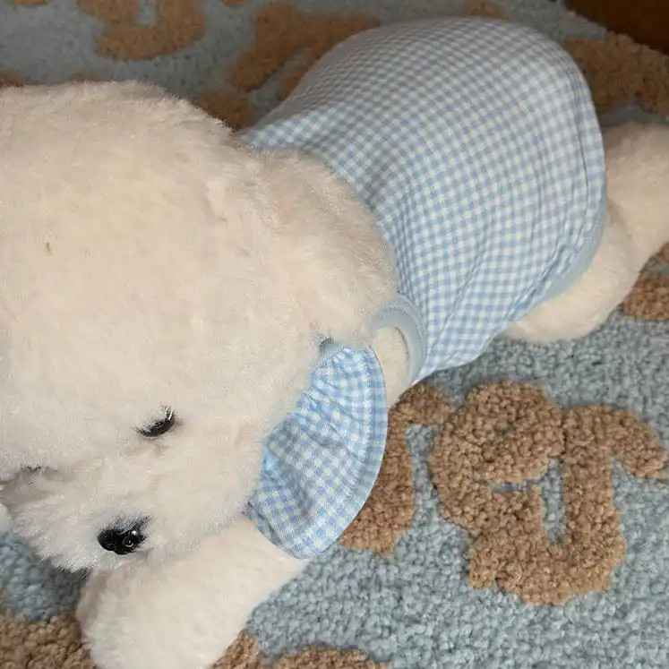 Mùa Xuân Thú Cưng Vest Chó Nhỏ Quần Áo Mèo Teddy Bichon Pomeranian Schnauzer Quần Áo Thú Cưng
