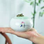 Ấm Trà Gốm Sứ Trắng Nồi Đơn Tròn Di Động Mini Kích Thước Nhỏ Chống Ẩm Celadon Kín Nồi Retro Hộp Quà Tặng Bao Bì A83X