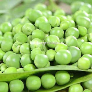 20 Gram - Hạt Giống Đậu Hà Lan Phương Nam