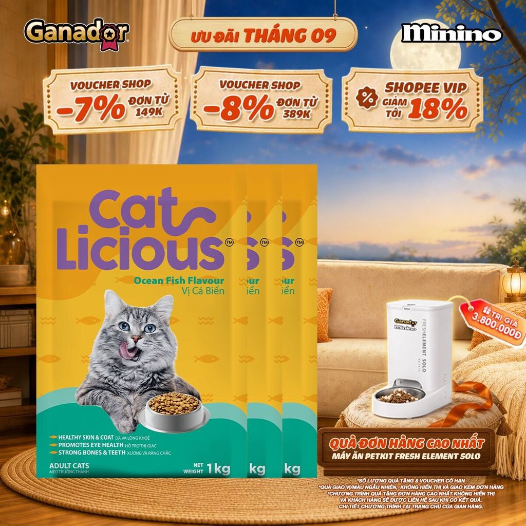Combo 3 x Thức ăn hạt Catlicious cho mèo vị Cá biển túi 1kg