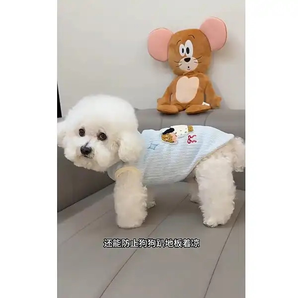 Quần áo thú cưng mùa xuân có áo kéo thêu Teddy Bichon Cat Puppy Quần áo quần áo thú cưng dễ thương