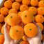 Mô Phỏng Tangerine Căng Thẳng Bóng DIY Handmade Mềm Bóp Squishy Đồ Chơi Không Độc Hại Cho Người Lớn Trẻ Em Nhà Trường Học Giảm Áp Lực