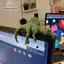 Nhíp Ngủ Tyrannosaurus Rex Màn Hình Trang Trí Cao Cấp 3D In Hình Khủng Long Để Bàn Trang Trí Văn Phòng Tại Nhà Quà Tặng Hoàn Hảo Cho Người Thu Thập Khủng Long VN