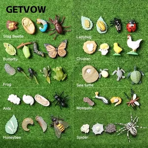GETVOW 4 Cái / bộ Tượng Nhỏ Vòng Đời, Nhân Vật Hành Động Phong Cách Kích Thước Thu Nhỏ Chu Kỳ Tăng Trưởng Động Vật, Dụng Cụ Giảng Dạy Montessori Đồ Chơi Vòng Đời Côn Trùng Thu Nhỏ Giáo Dục