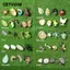 GETVOW 4 Cái / bộ Tượng Nhỏ Vòng Đời, Nhân Vật Hành Động Phong Cách Kích Thước Thu Nhỏ Chu Kỳ Tăng Trưởng Động Vật, Dụng Cụ Giảng Dạy Montessori Đồ Chơi Vòng Đời Côn Trùng Thu Nhỏ Giáo Dục